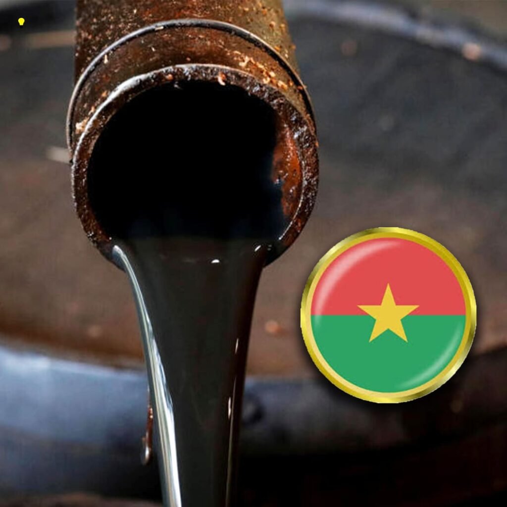 site ulustration (3)