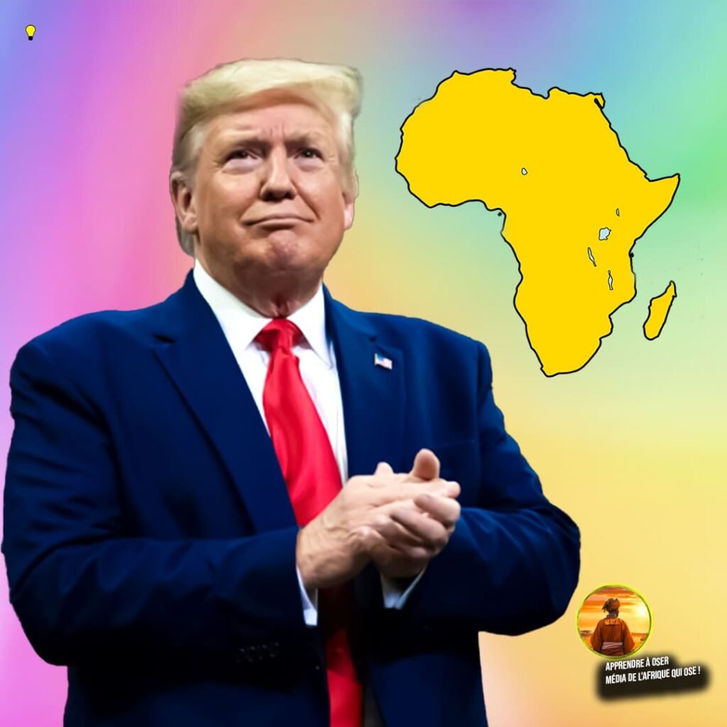 site ulustration (4)