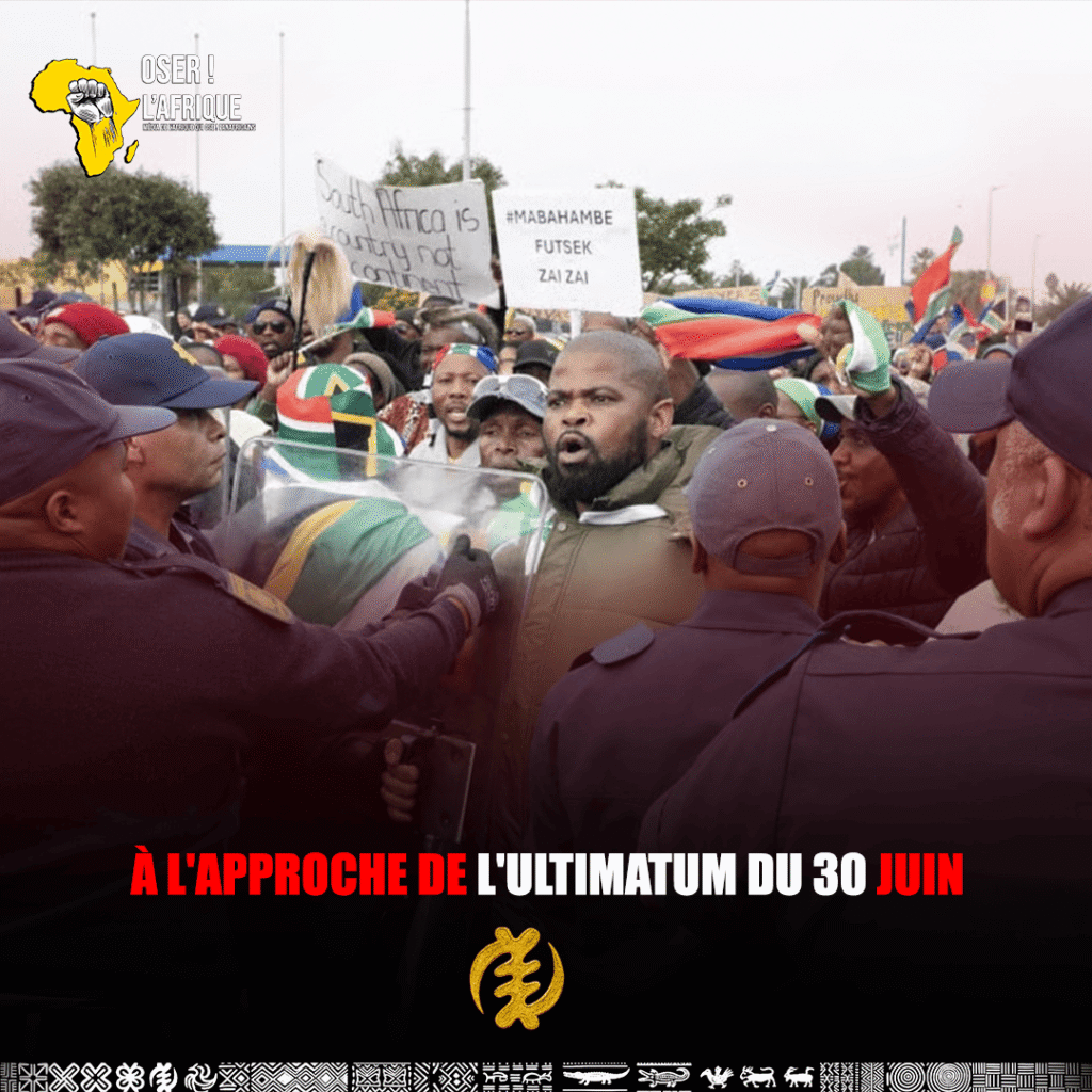 citation (6)
